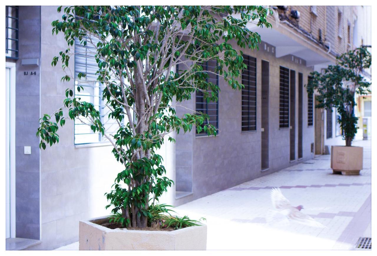 Estacion-Centro Vialia 3 Appartement *